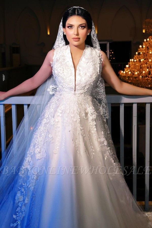 A-Line V-Neck Sleeveless Floor Length Lace Wedding Dress