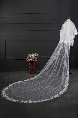 Elegant Tulle lace Applique Edge Wedding Gloves_4