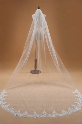Floral Elegant Tulle  Lace Applique Edge Wedding Veil with Comb