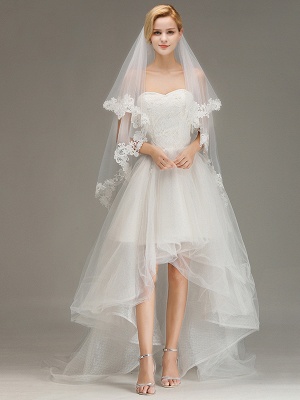 Lace Edge Wedding Veil with Comb Two Layers Tulle Bridal Veil_4