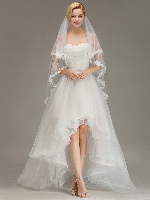 Two Layers Lace Edge Wedding Veil with Comb Soft Tulle Bridal Veil_4
