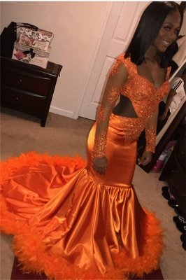 Chic V-Neck Long Sleeves Appliques Tulle Sequins Mermaid Floor-Length Prom Dresses_2