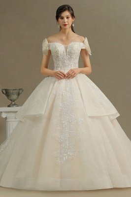 Elegant Off-the-Shoulder Tulle Lace Ball Gown Floor Length Graden Bridal Gown_1
