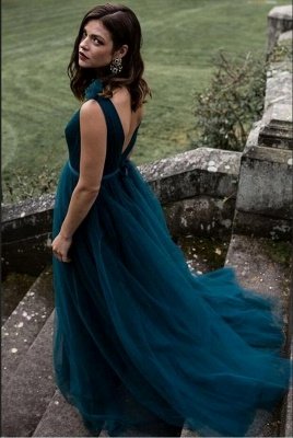 Elegant V-neck Sleveless Aline Tulle Evening Maxi Dress_2