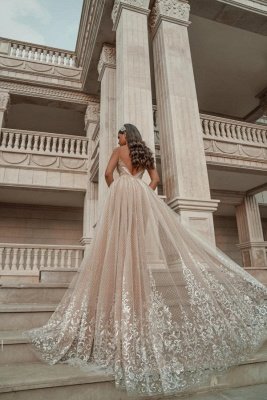 Stylish Sleeveless V-Neck Evening Party Dress Aline Backless Prom Dress with Lace Appliques_2