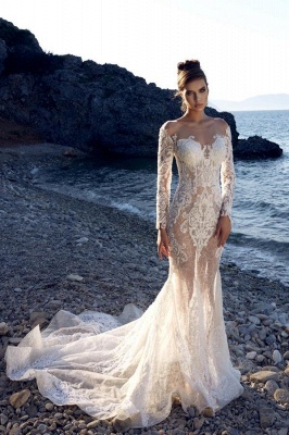 Long Sleeves Mermaid Wedding Dress White Tulle Bridal Gown_1