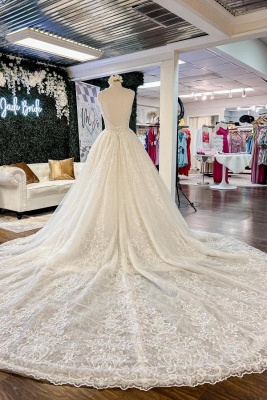 Chic Floral Lace Aline Wedding Dress V-Neck Sleeveless Backless Bridal Dress_2