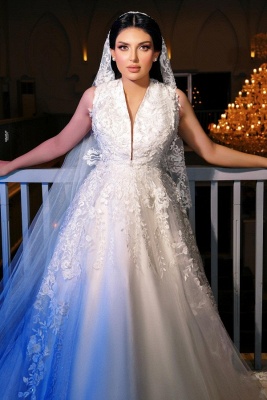 A-Line V-Neck Sleeveless Floor Length Lace Wedding Dress_1