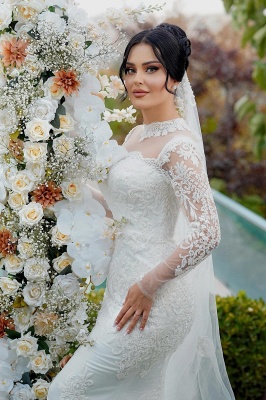 Unique Sweetheart Tulle Appliques Lace Mermaid Wedding Dresses Long Sleeve_5