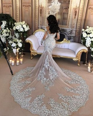 Elegant High neck Long sleeves Mermaid Wedding Dress | Silver Tulle Bridal Gowns with Lace Appliques_2