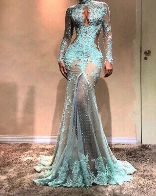 Gorgeous Long Sleeve Mermaid Evening Dress | Lace Formal Dress_1